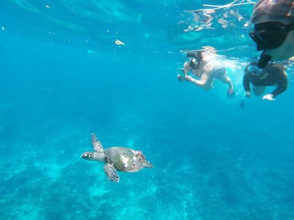 West Island Tour + Snorkeling